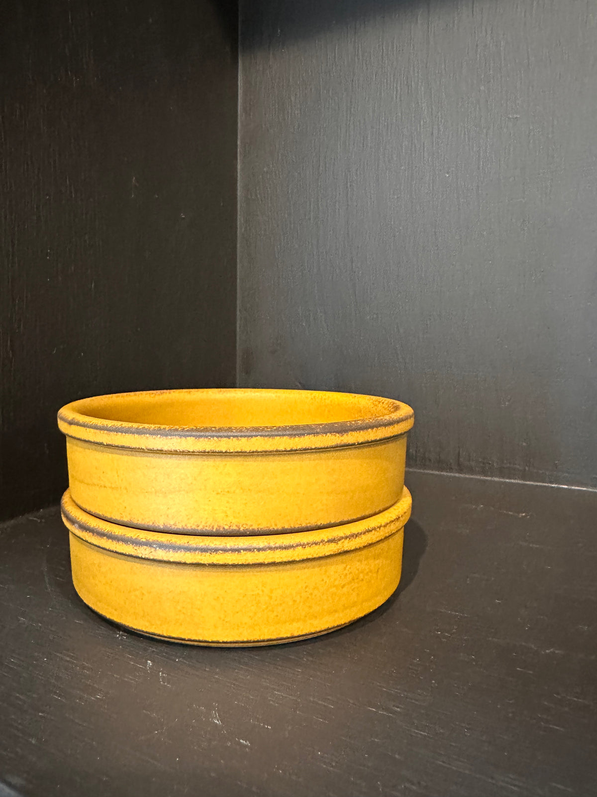 Donabe Color Pot Bowls - Regular