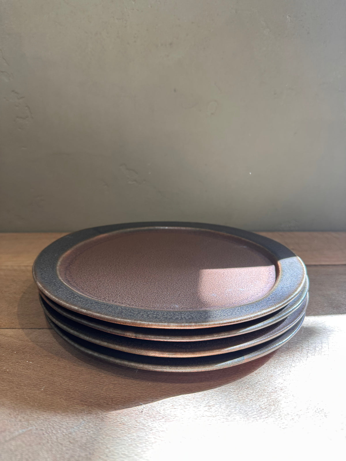 Earth Dinner Plates