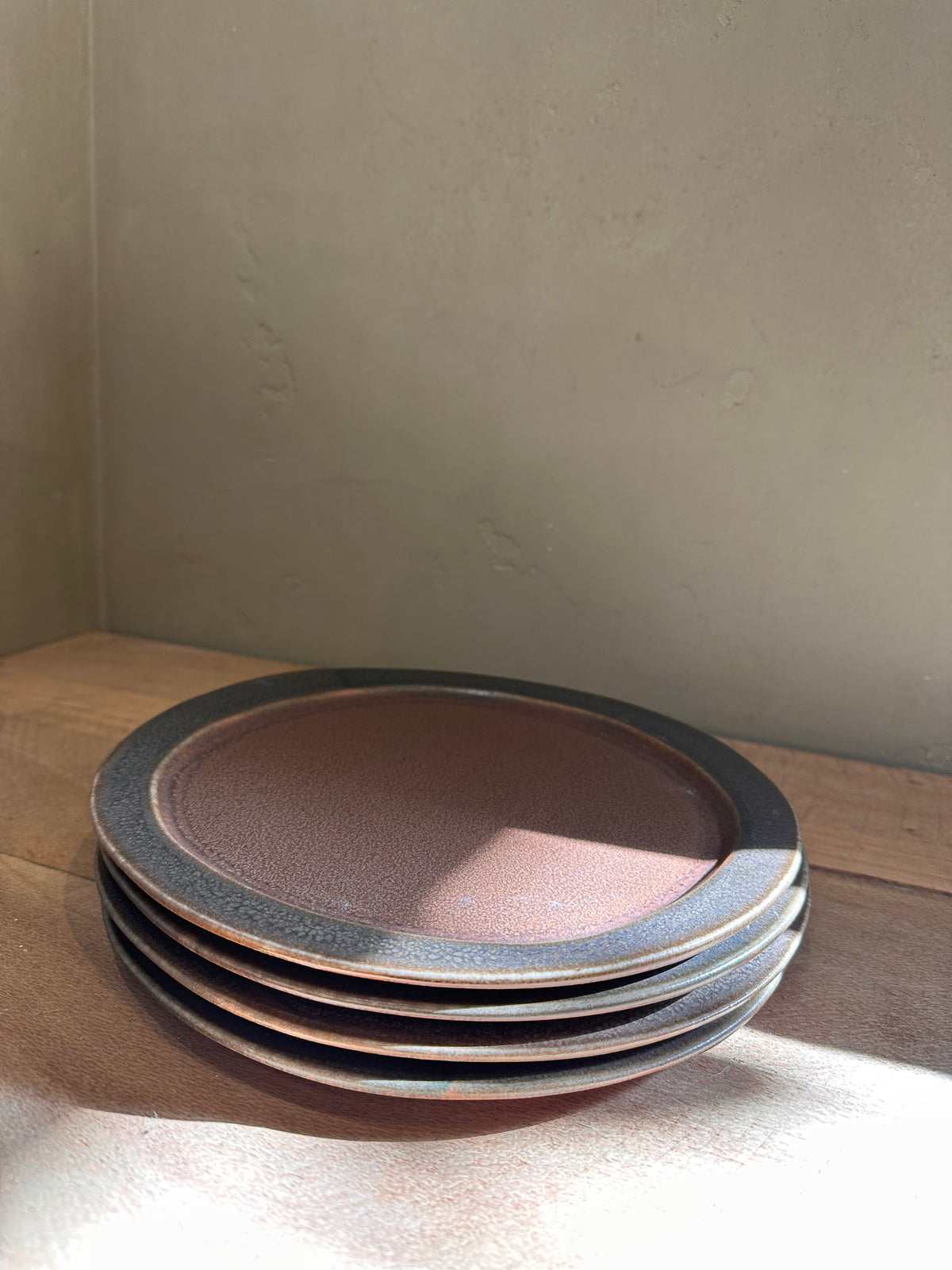 Earth Dinner Plates