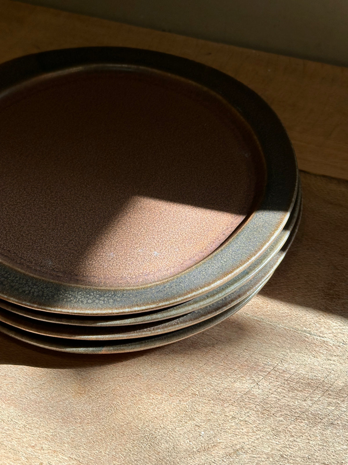Earth Dinner Plates